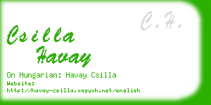 csilla havay business card